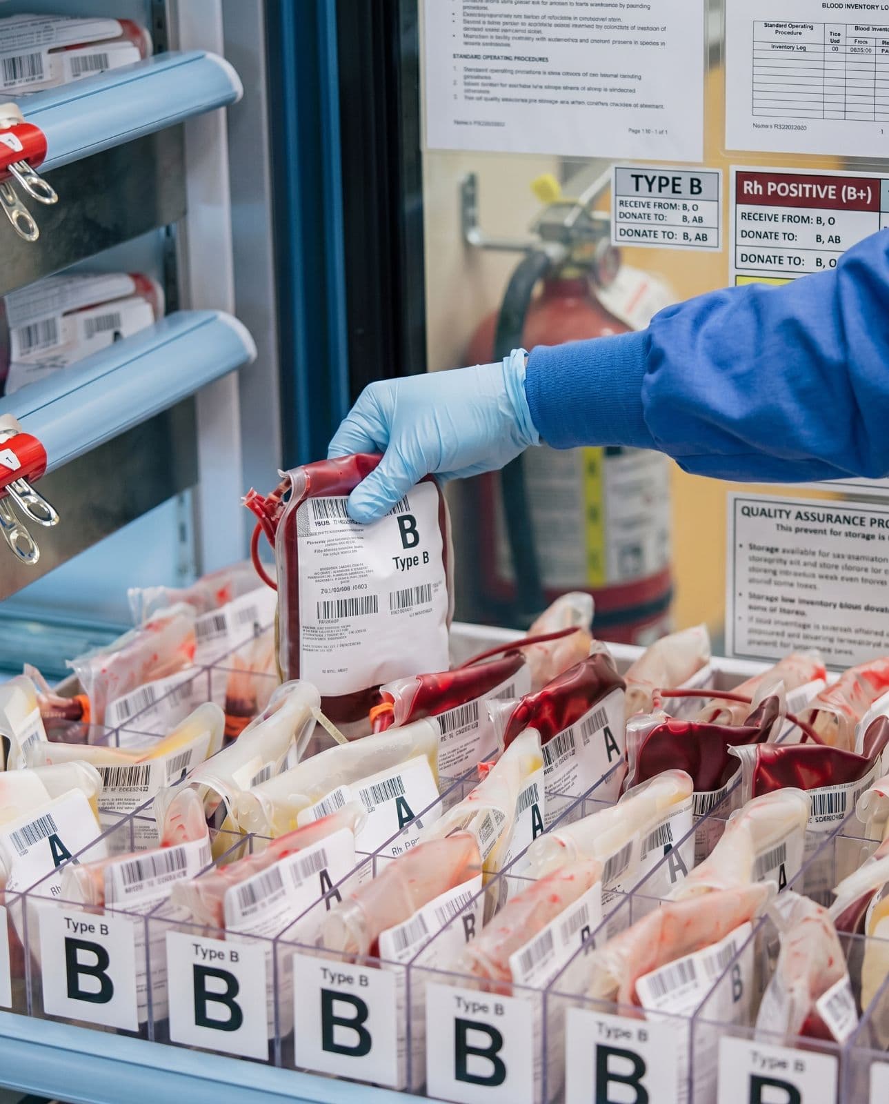 Technician retrieving a screened blood unit from cold storage